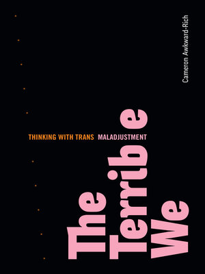 cover image of The Terrible We